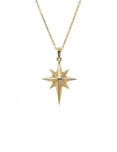 14 Ayar Altın Kutup Yıldızı Kolye için detayları göster 14 Ayar Altın Kutup Yıldızı Kolye resmi