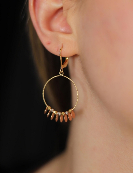 14 Ayar Altın Pul Sallantılı Halka Küpe için detayları göster 14 Ayar Altın Pul Sallantılı Halka Küpe resmi