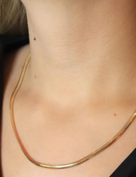 14 Ayar Altın 45 Cm Balık Sırtı Zincir için detayları göster 14 Ayar Altın 45 Cm Balık Sırtı Zincir resmi