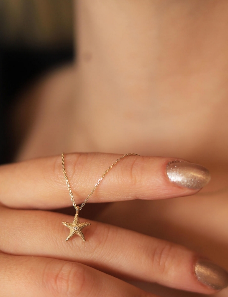 14 Ayar Altın Çıtır Deniz Yıldızı Kolye için detayları göster 14 Ayar Altın Çıtır Deniz Yıldızı Kolye resmi