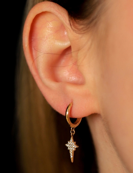 14 Ayar Altın Kutup Yıldızı Sallantı Küpe için detayları göster 14 Ayar Altın Kutup Yıldızı Sallantı Küpe resmi