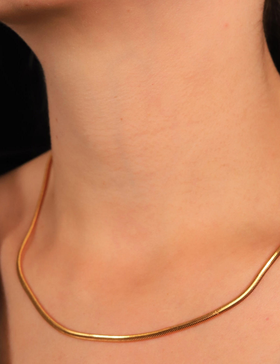 22 Ayar Altın Balık Sırtı Zincir resmi