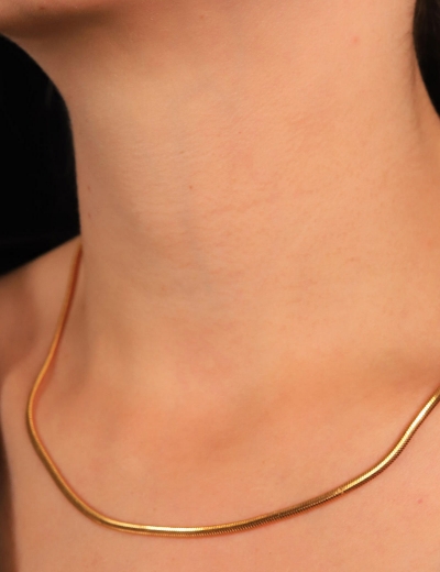 22 Ayar Altın Balık Sırtı Zincir resmi