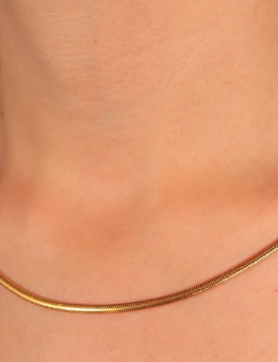 22 Ayar Altın Balık Sırtı Zincir resmi