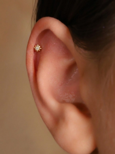 14 Ayar Altın Pırıltı Tasarım Taşlı Tragus resmi