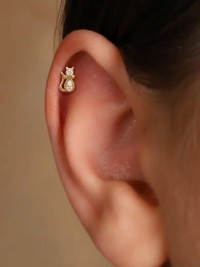 14 Ayar Altın Kedi Tasarım Taşlı Tragus resmi