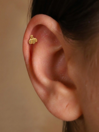 14 Ayar Altın Meyve Tasarım Tragus