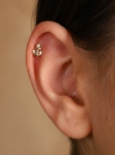 14 Ayar Altın Çapa Tasarım Taşlı Tragus
