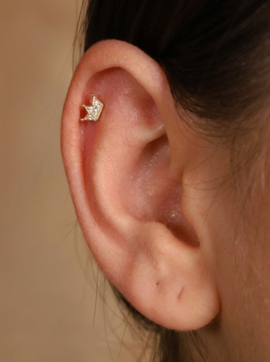 14 Ayar Altın Taç Tasarım Taşlı Tragus